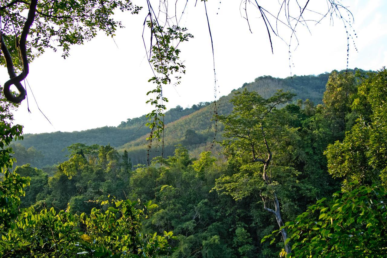 Chestnut Hill Eco Resort Hat Yai Esterno foto