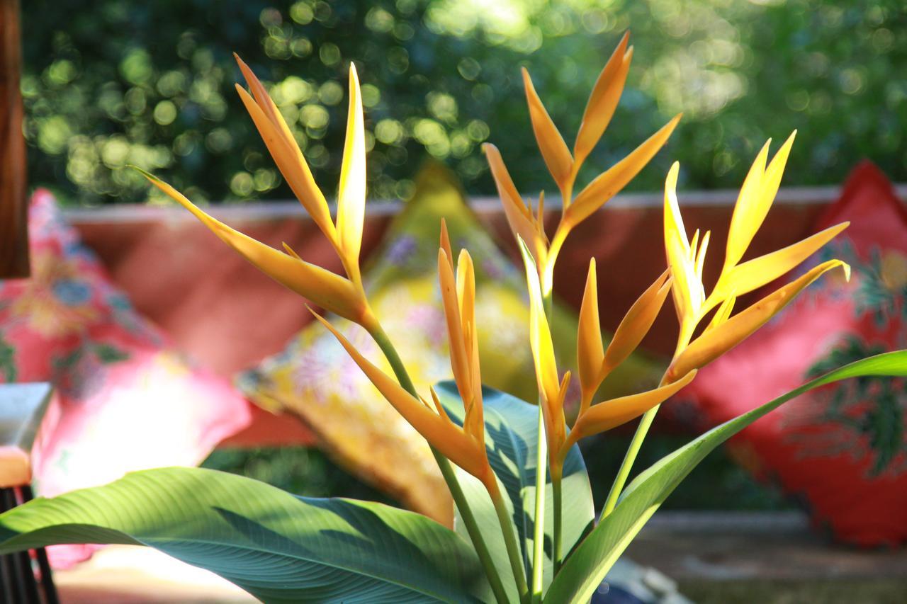 Chestnut Hill Eco Resort Hat Yai Esterno foto